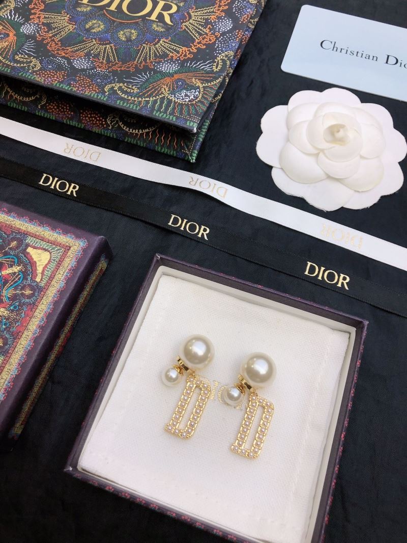 Christian Dior Earrings